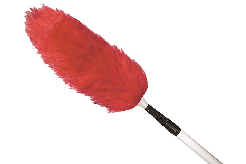 Feather duster in malay